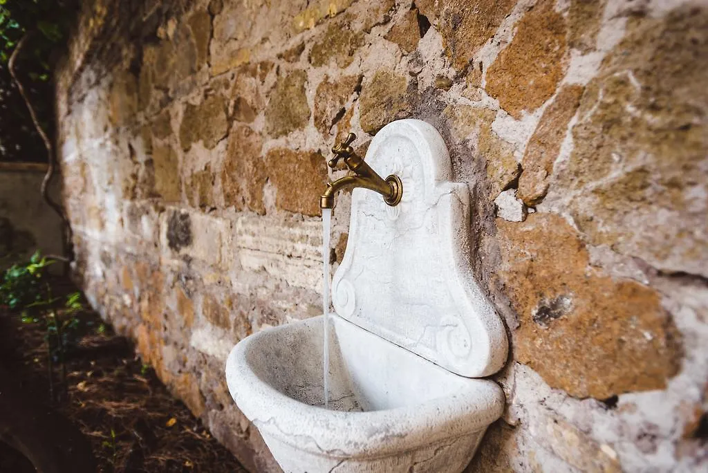 Circo Massimo Guest House Rome