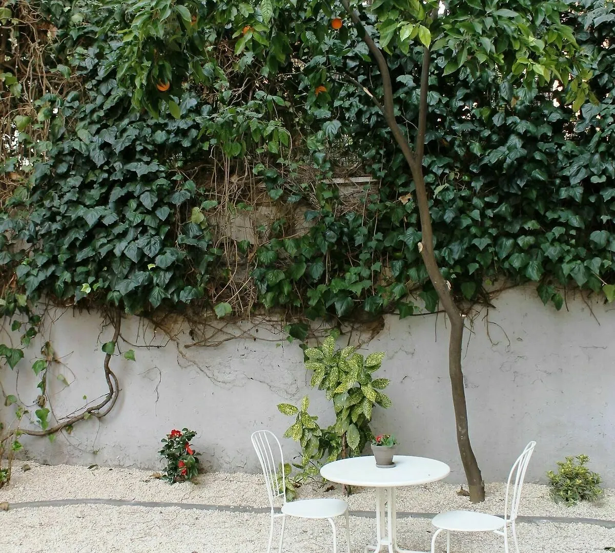 Circo Massimo Guest House Rome Italie