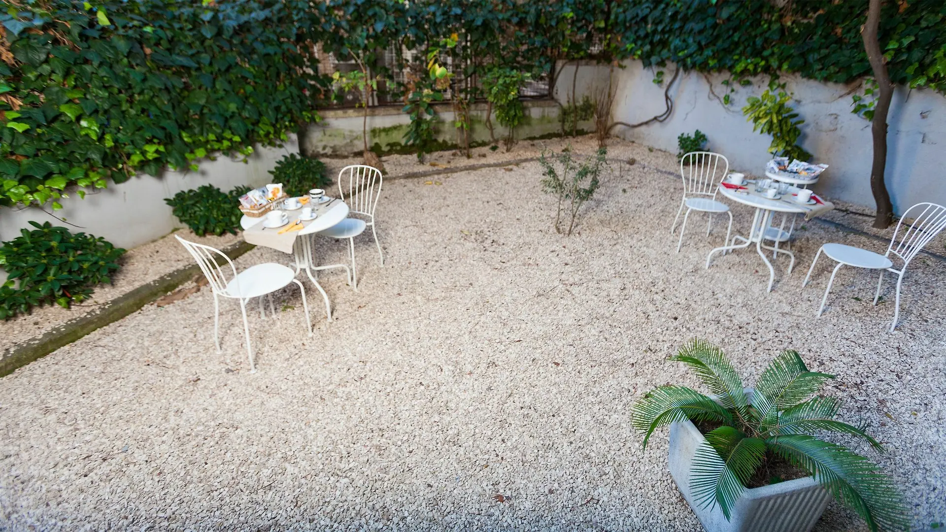 Circo Massimo Guest House Rome